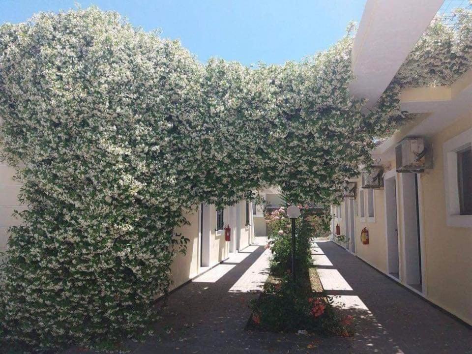 Monika Hotel Sidari Сидарион Экстерьер фото
